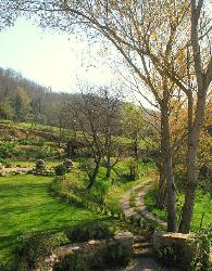 Looking East over the garden from Casa Mazzaforte