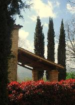 Three cypresses in front of L'Essicatoio